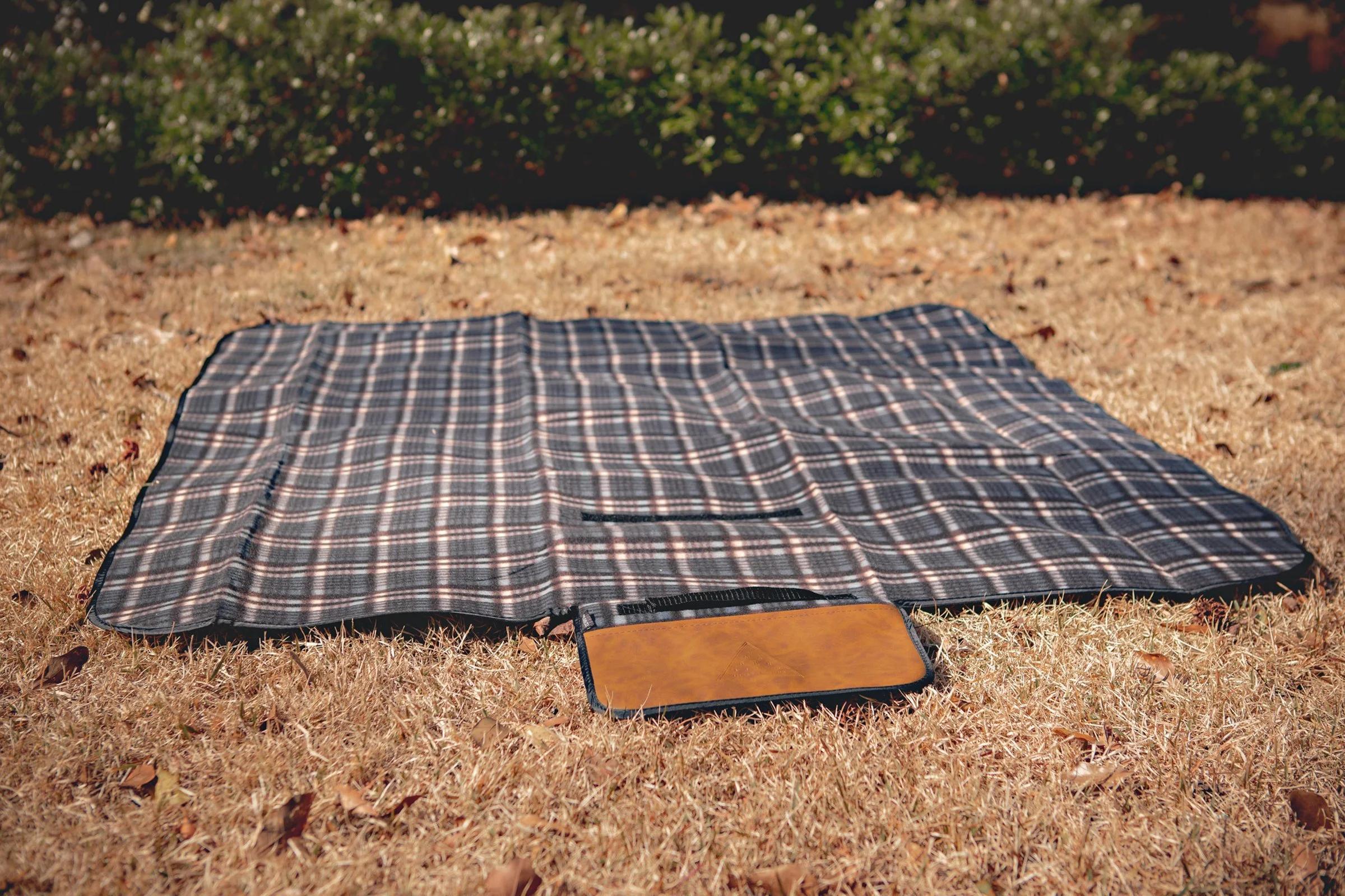 Picnic Blanket | Imaginarium logo — Three Taverns Brewery